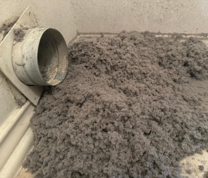 Lint removed during professional dryer vent cleaning by Supreme Air Care.