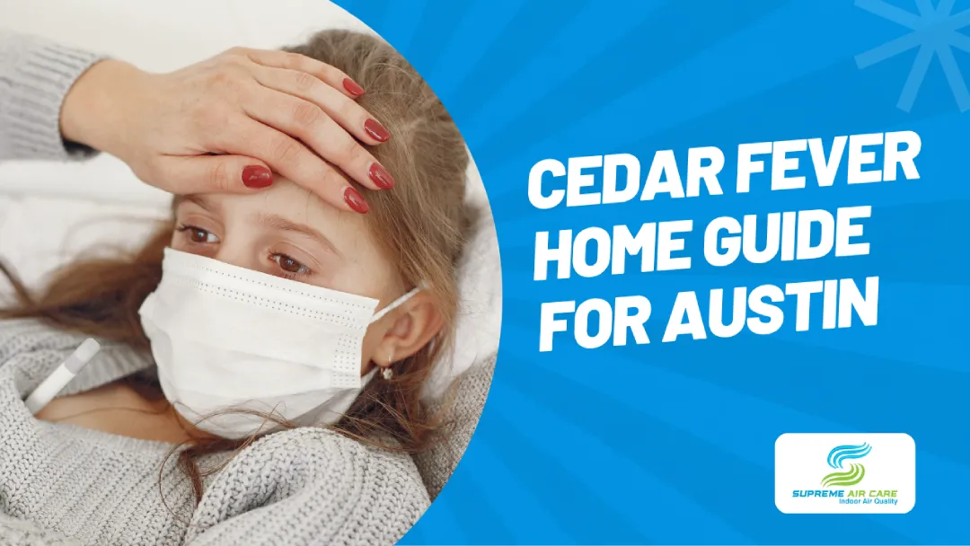 cedar fever austin home